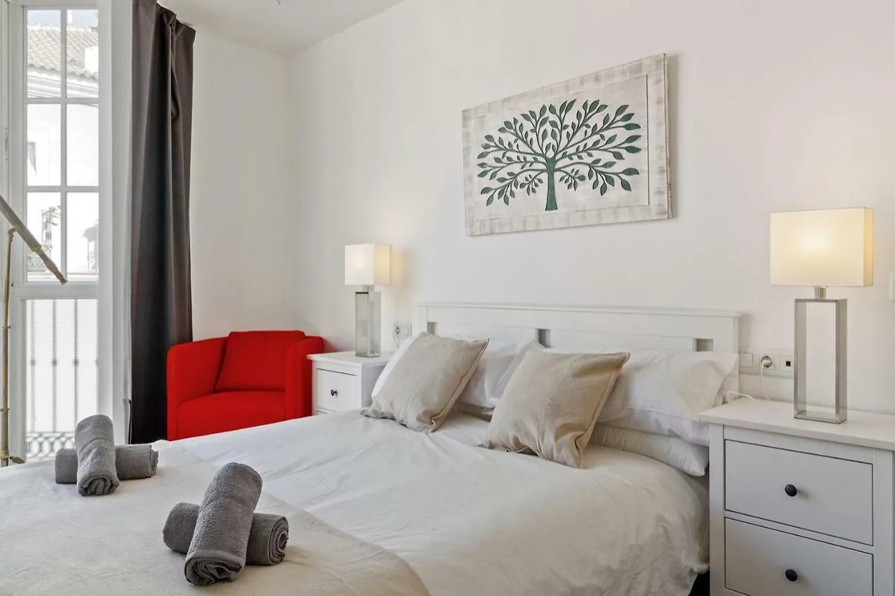 Spacious Centre Apartment In Malaga